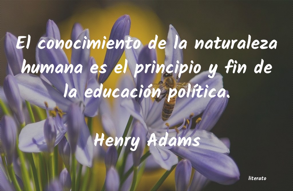 Frases de Henry Adams