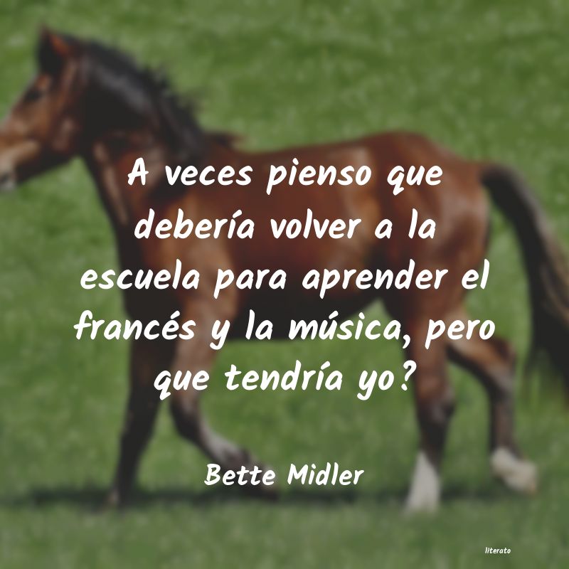 frases de Bette Midler