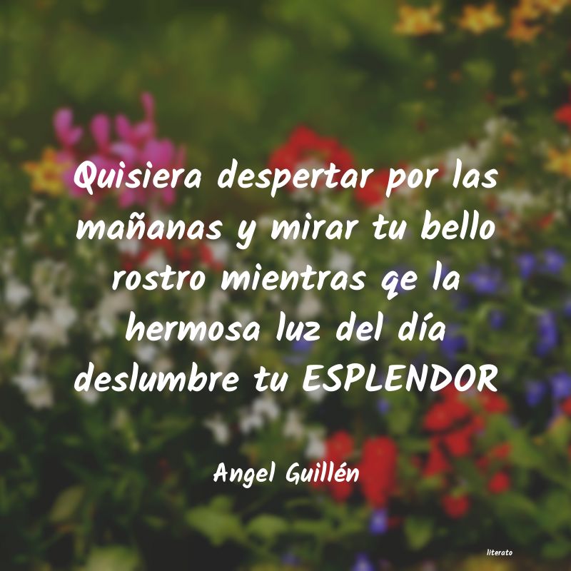 Frases de Angel Guillén