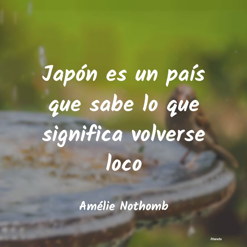 Frases de Amélie Nothomb