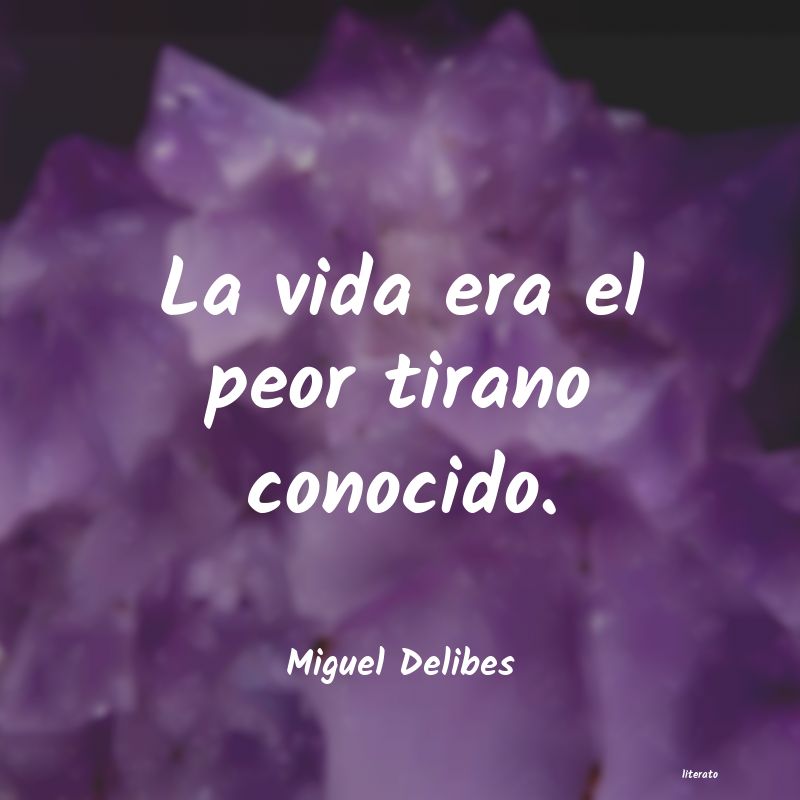 Frases de Miguel Delibes