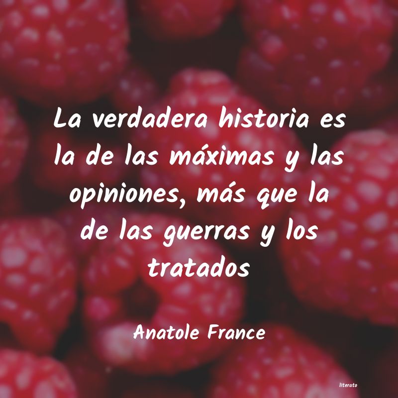 Frases de Anatole France