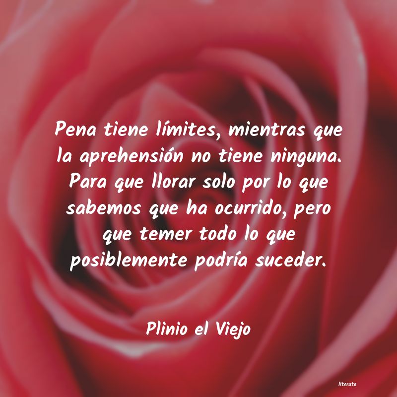 frases de Plinio el Viejo