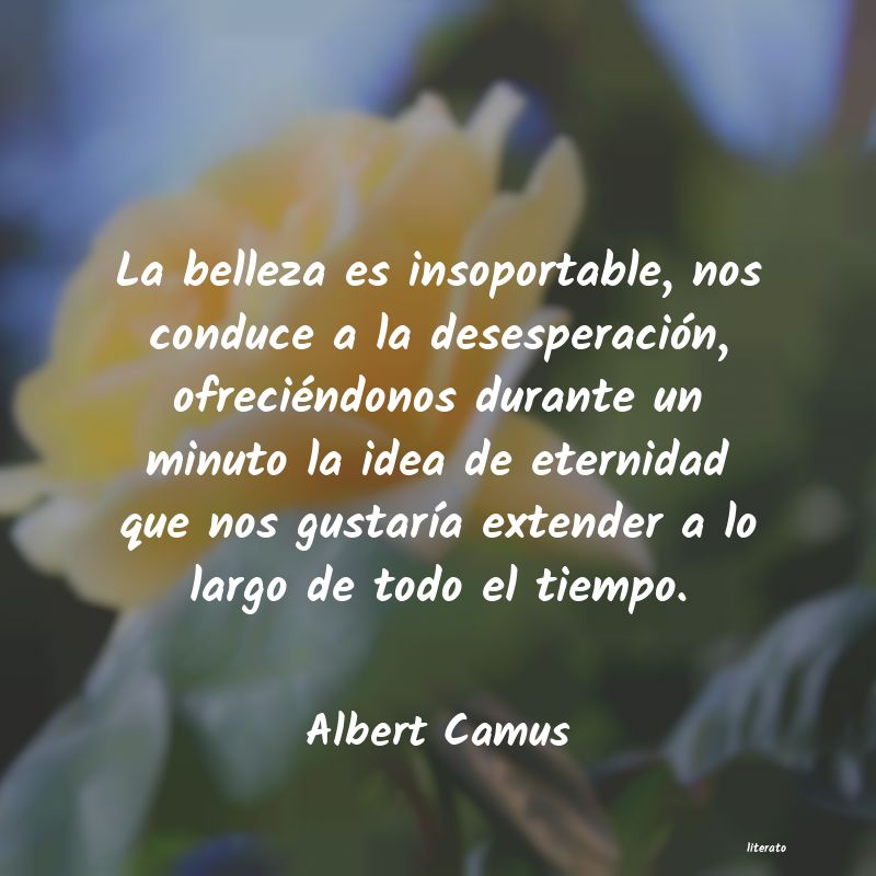 frases de Albert Camus