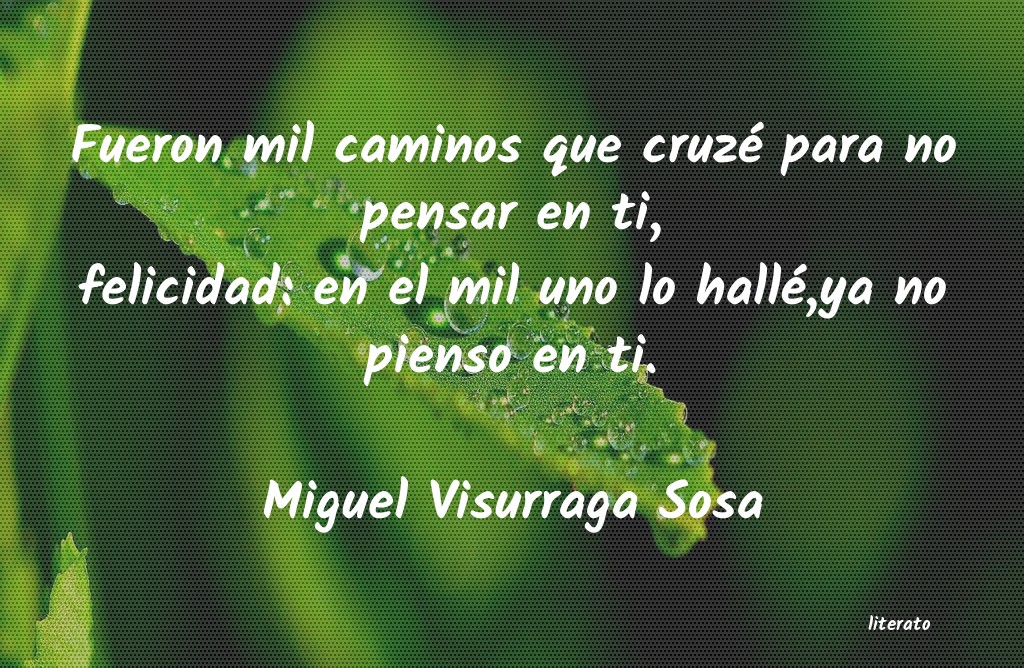 frases de Miguel Visurraga Sosa