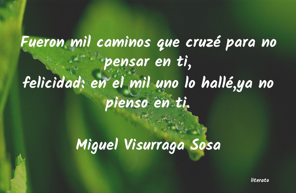 Frases de Miguel Visurraga Sosa