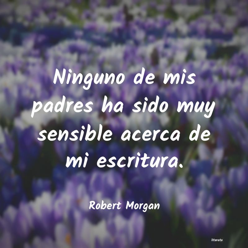 Frases de Robert Morgan