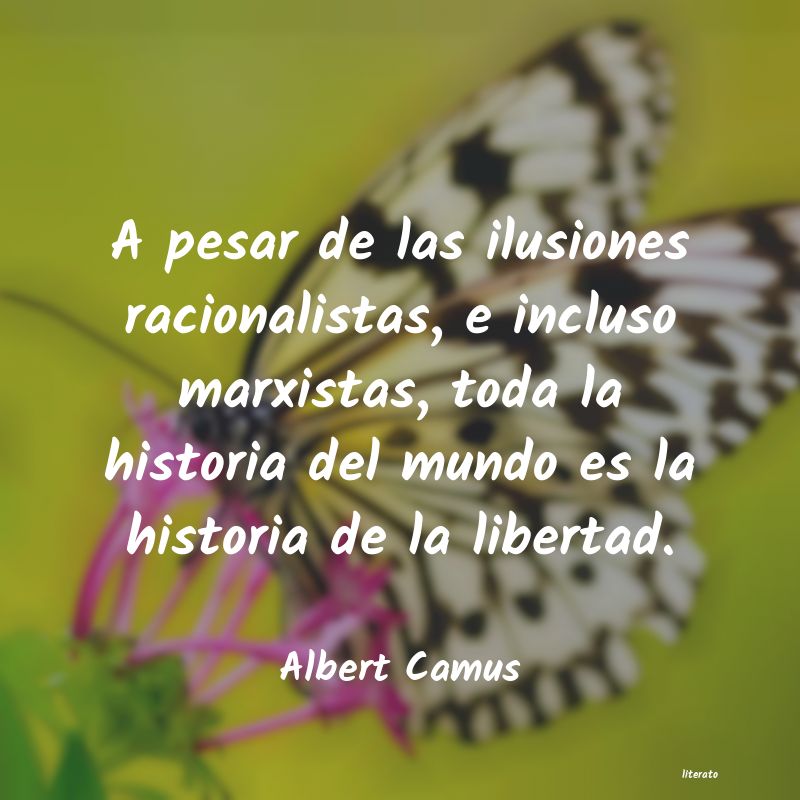 Frases de Albert Camus