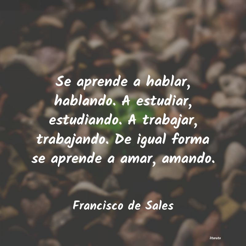 Frases de Francisco de Sales