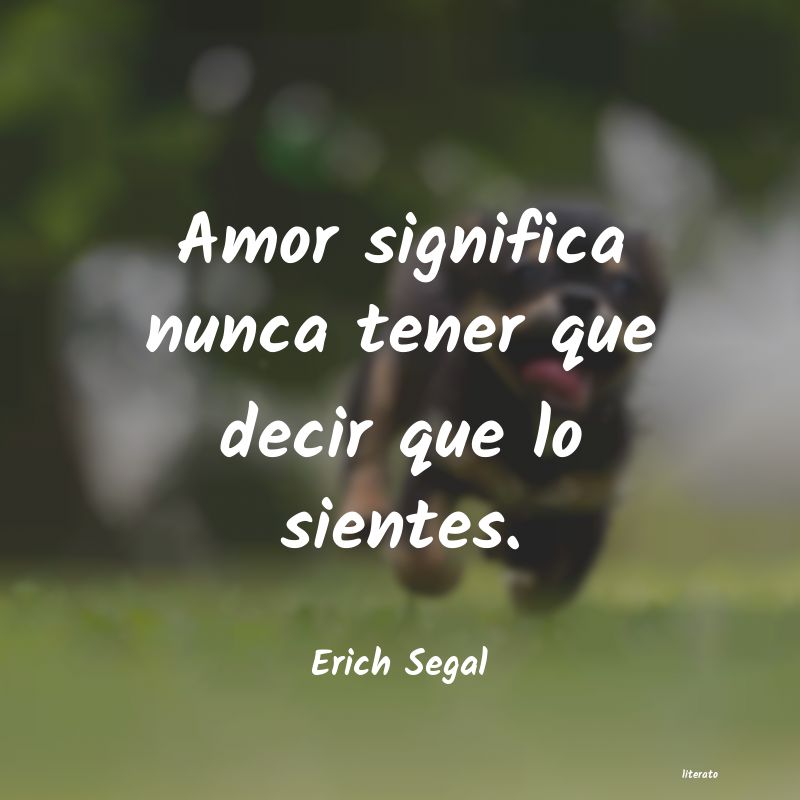 Frases de Erich Segal