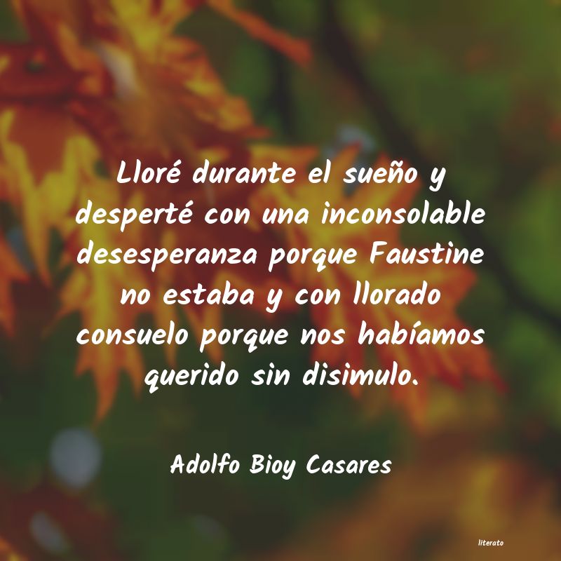 Frases de Adolfo Bioy Casares