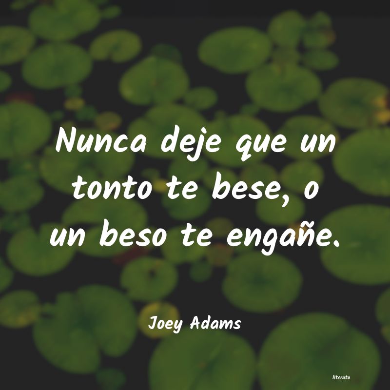 Frases de Joey Adams