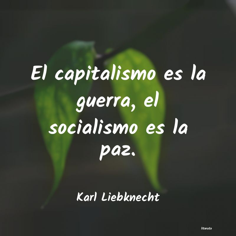 Frases de Karl Liebknecht