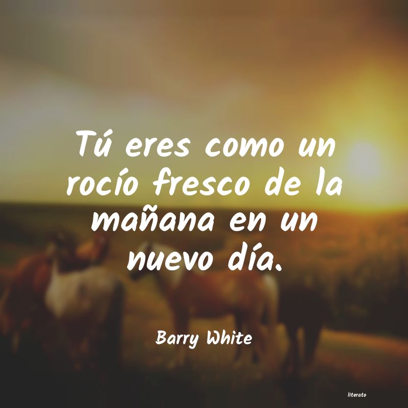 Frases de Barry White