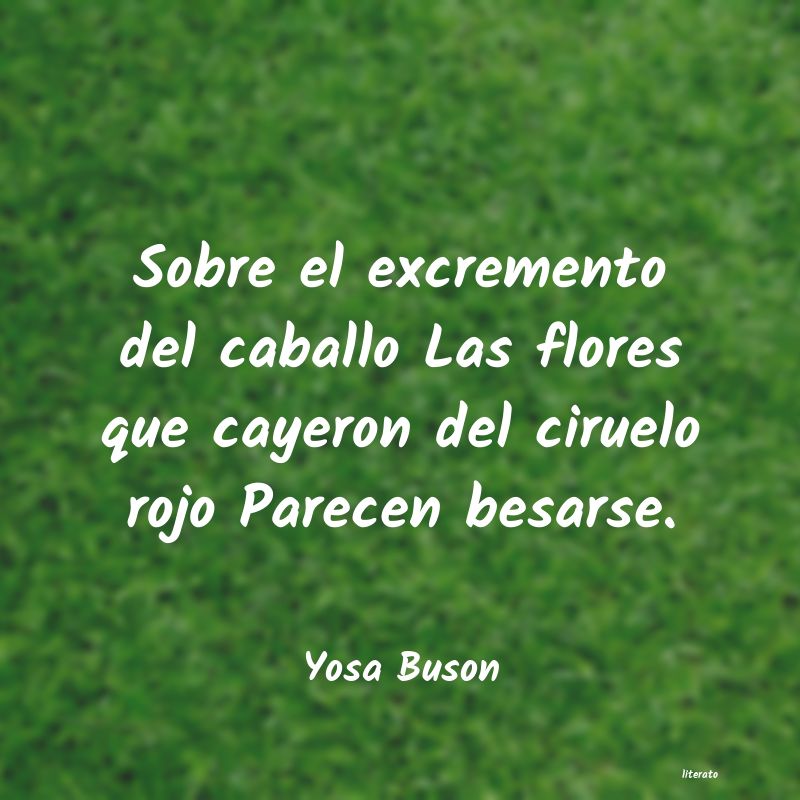 Frases de Yosa Buson