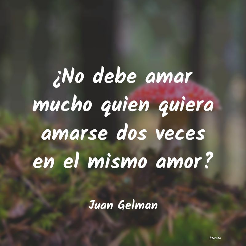 Frases de Juan Gelman