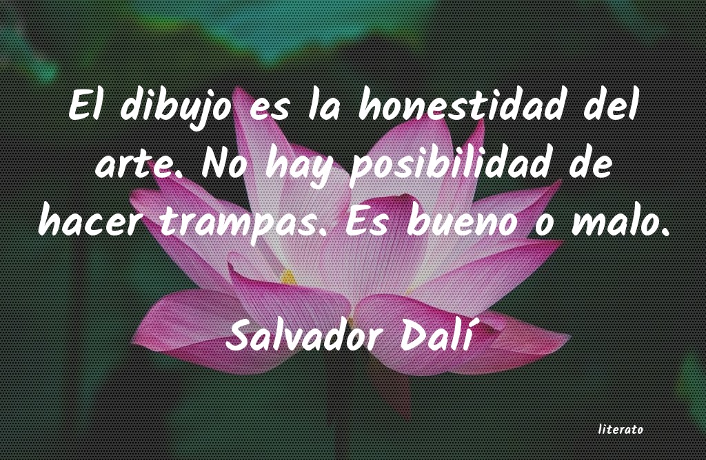 frases de Salvador DalÃ­