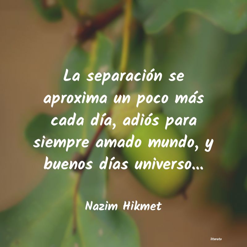 frases de Nazim Hikmet