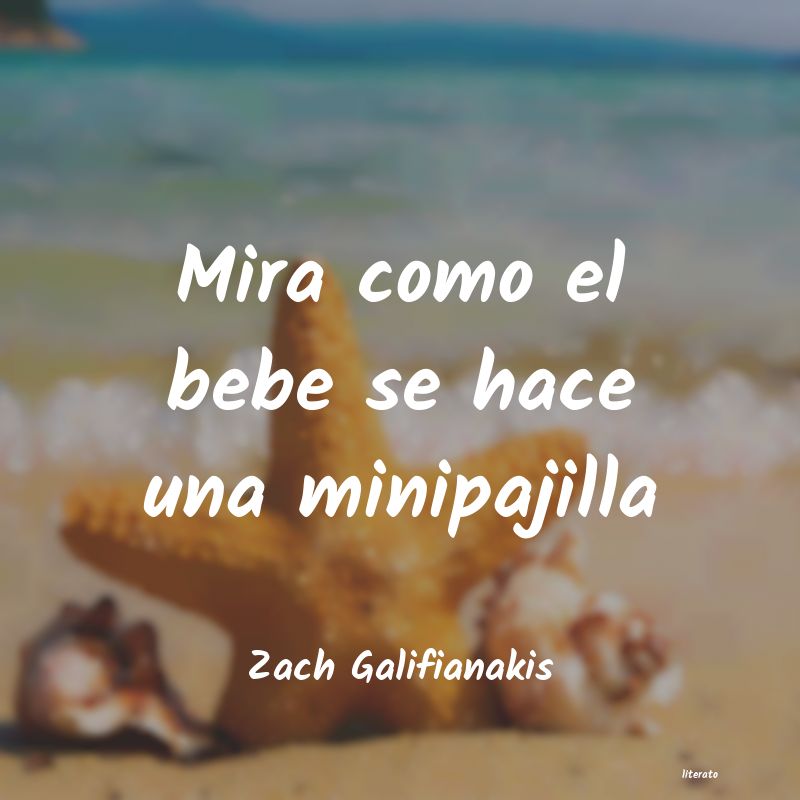 Frases de Zach Galifianakis