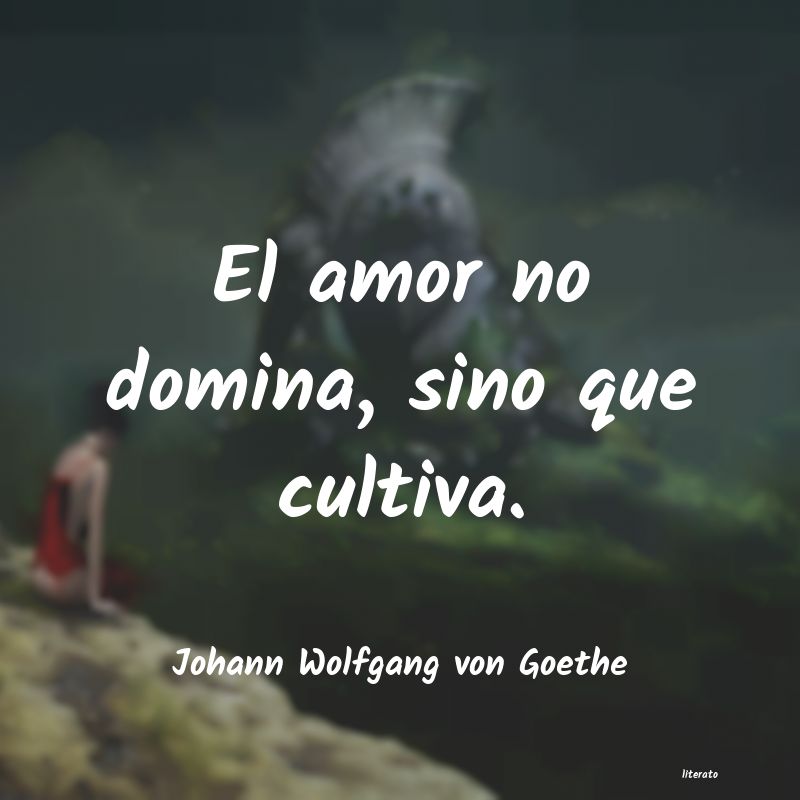 Frases de Johann Wolfgang von Goethe