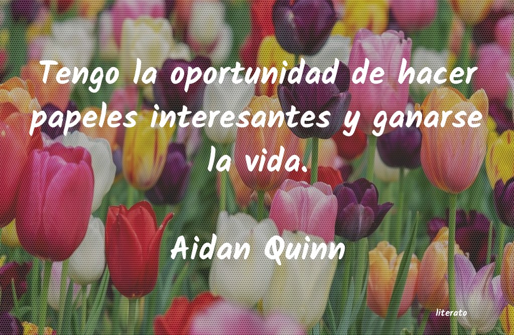 Frases de Aidan Quinn