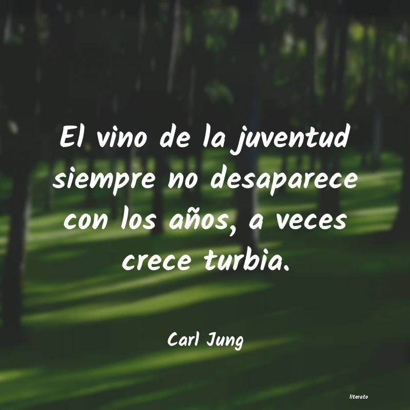 carl jung sentido