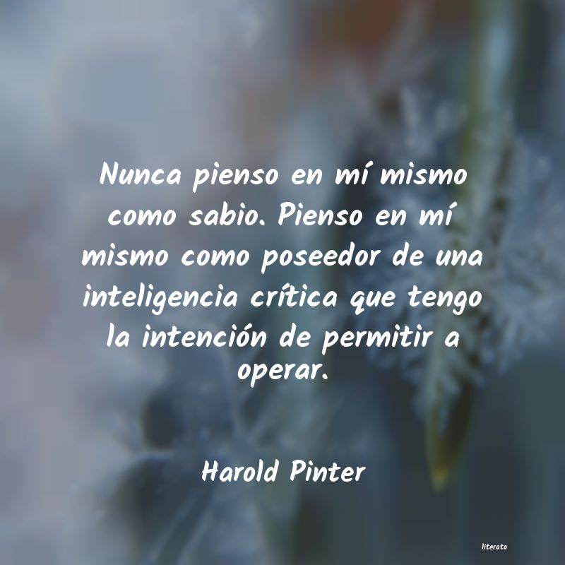 Frases de Harold Pinter