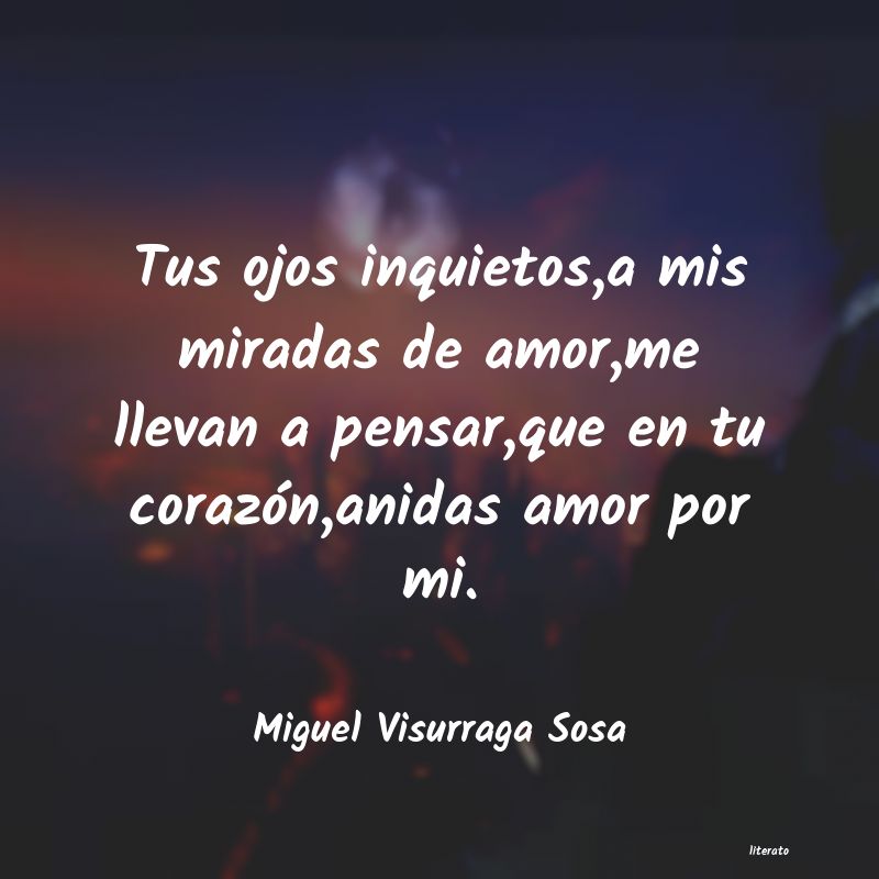 Frases de Miguel Visurraga Sosa