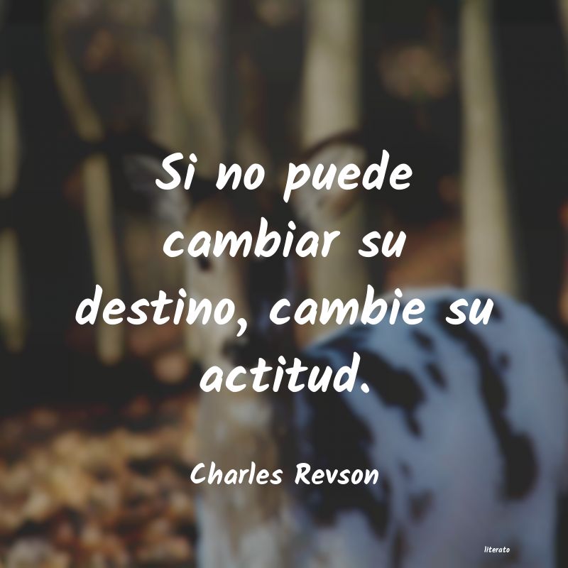 Frases de Charles Revson