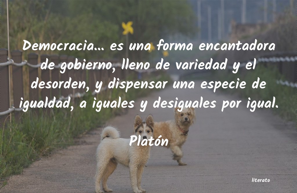 Frases de Platón