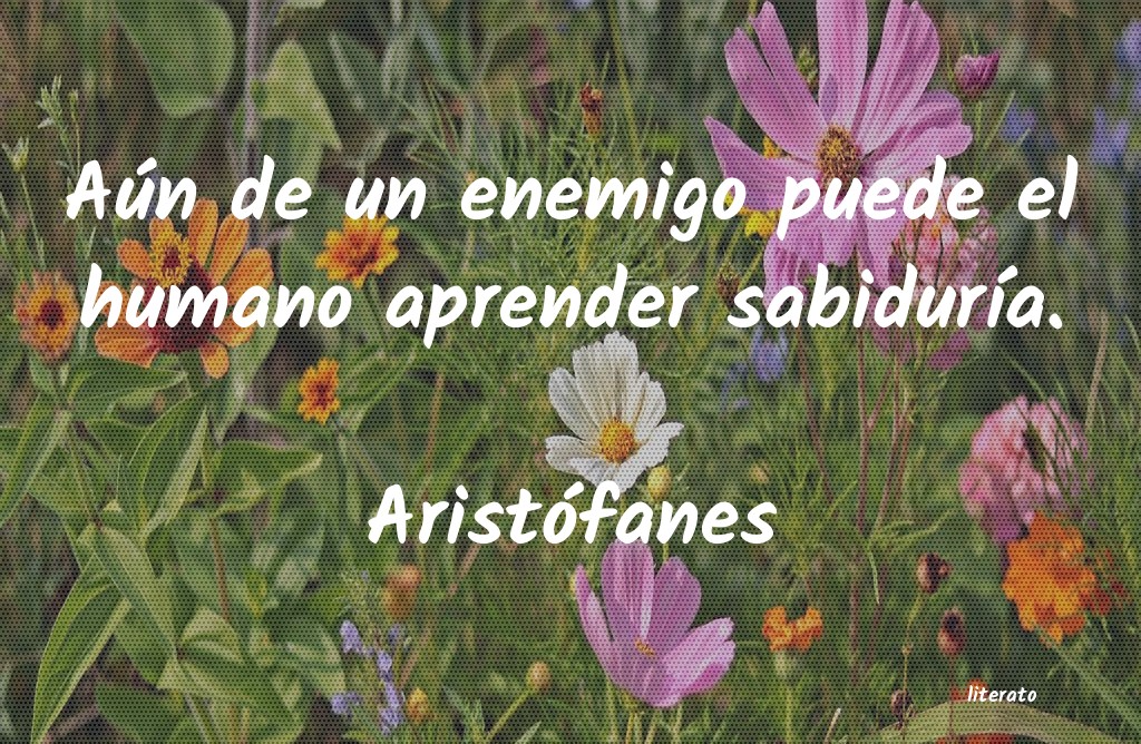 Frases de Aristófanes