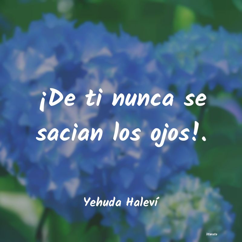 Frases de Yehuda Haleví