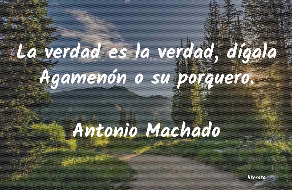 antonio machado media verdad