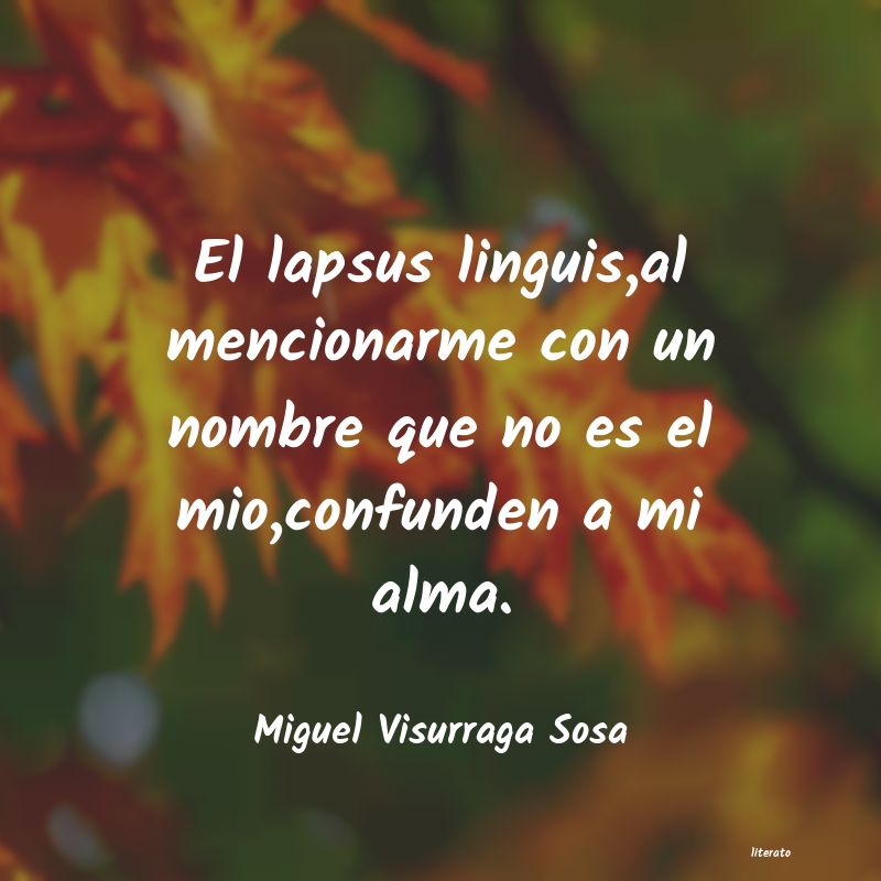 frases de Miguel Visurraga Sosa