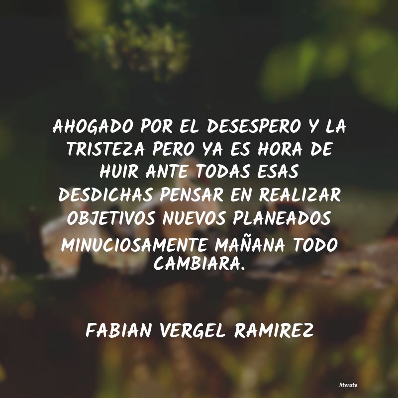Frases de FABIAN VERGEL RAMIREZ