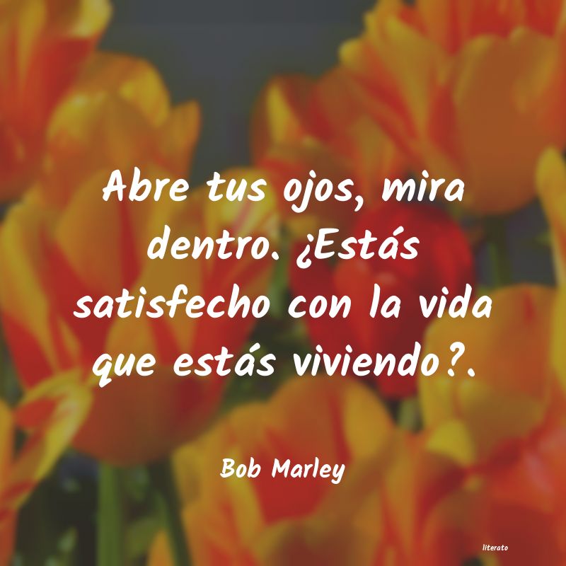 frases cortas de bob marley