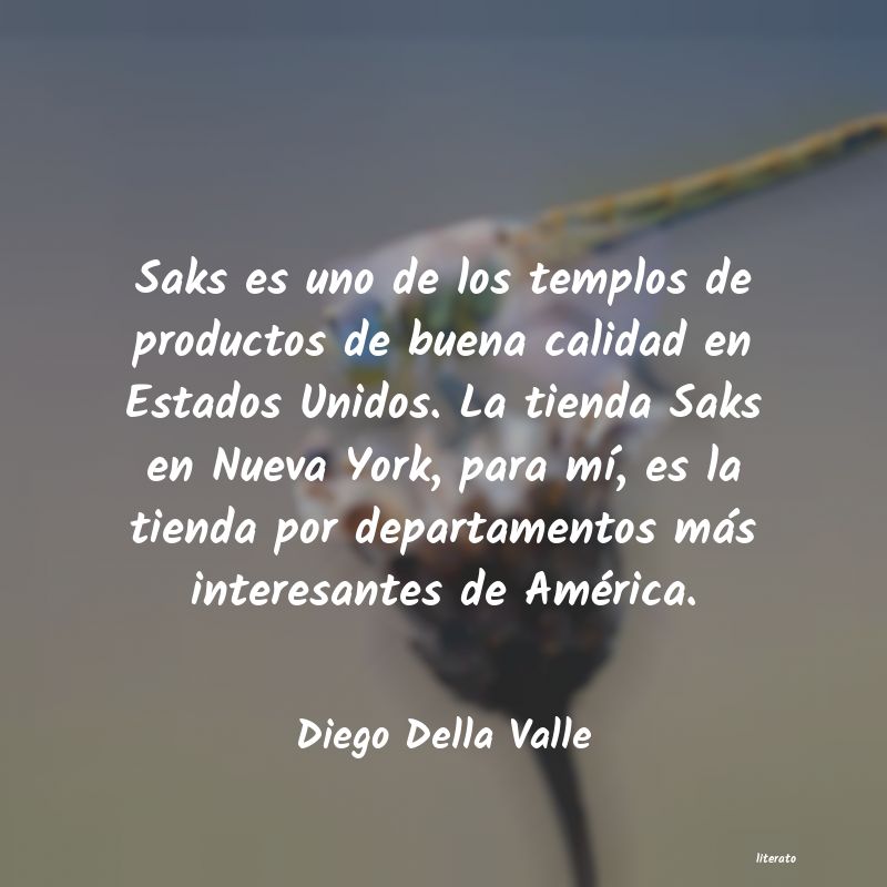 Frases de Diego Della Valle