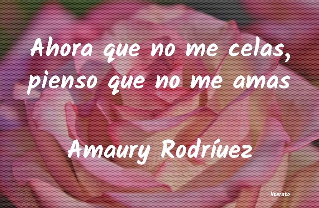 Frases de Amaury Rodríuez
