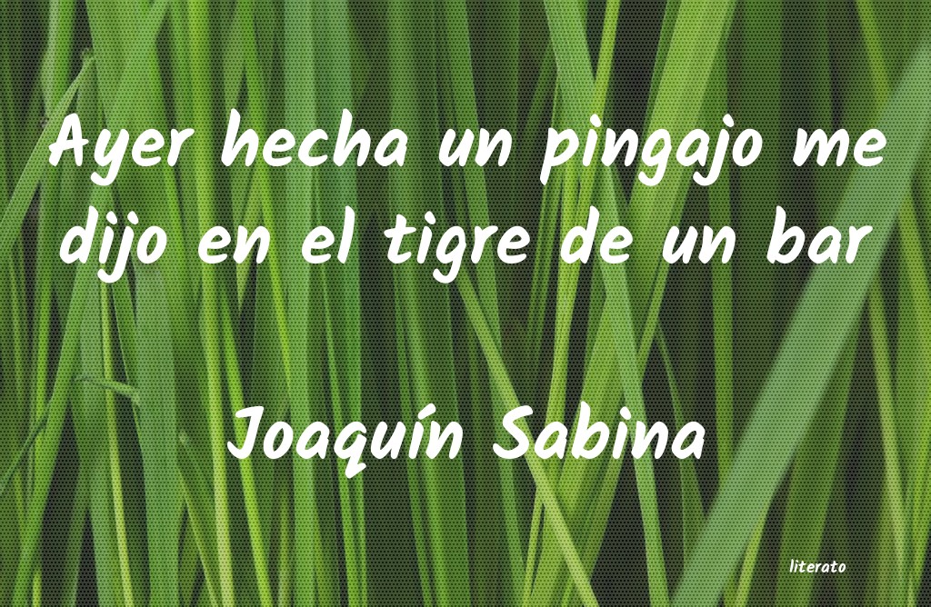 frases de JoaquÃn Sabina