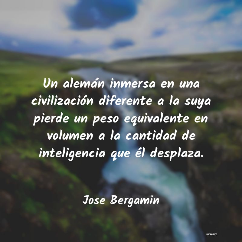 Frases de Jose Bergamin