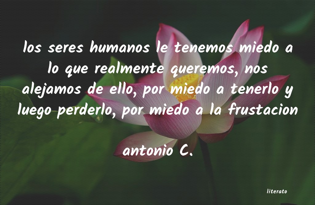 Frases de antonio C.