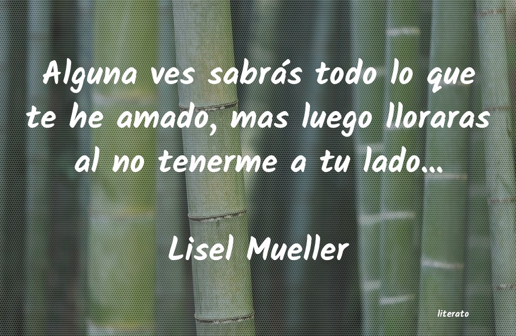 Frases de Lisel Mueller