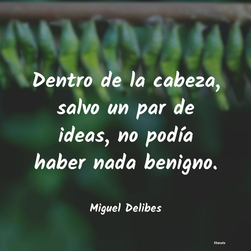 frases de Miguel Delibes