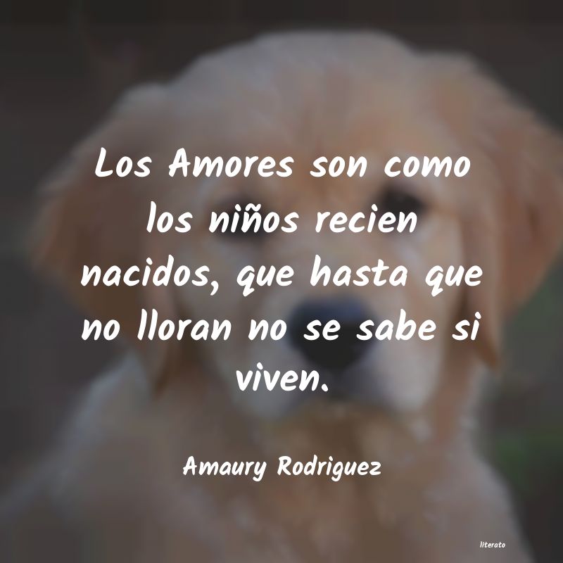 Frases de Amaury Rodriguez