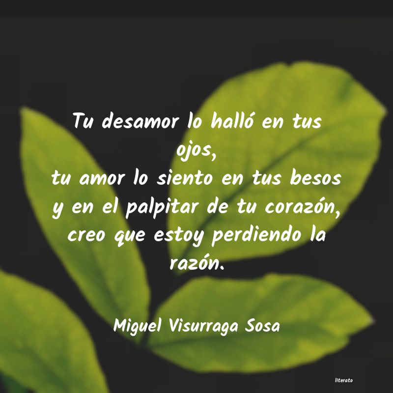 frases de Miguel Visurraga Sosa