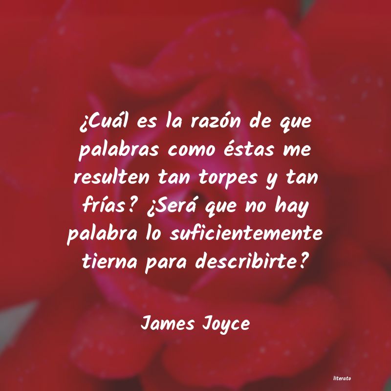 Frases de James Joyce