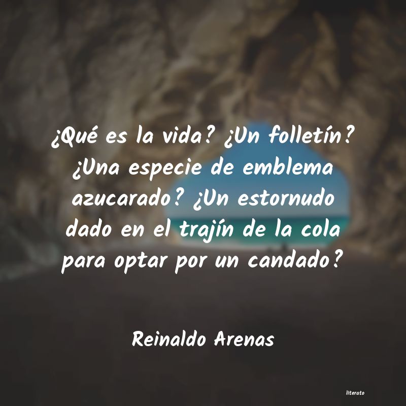 Frases de Reinaldo Arenas