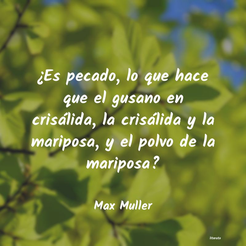 Frases de Max Muller