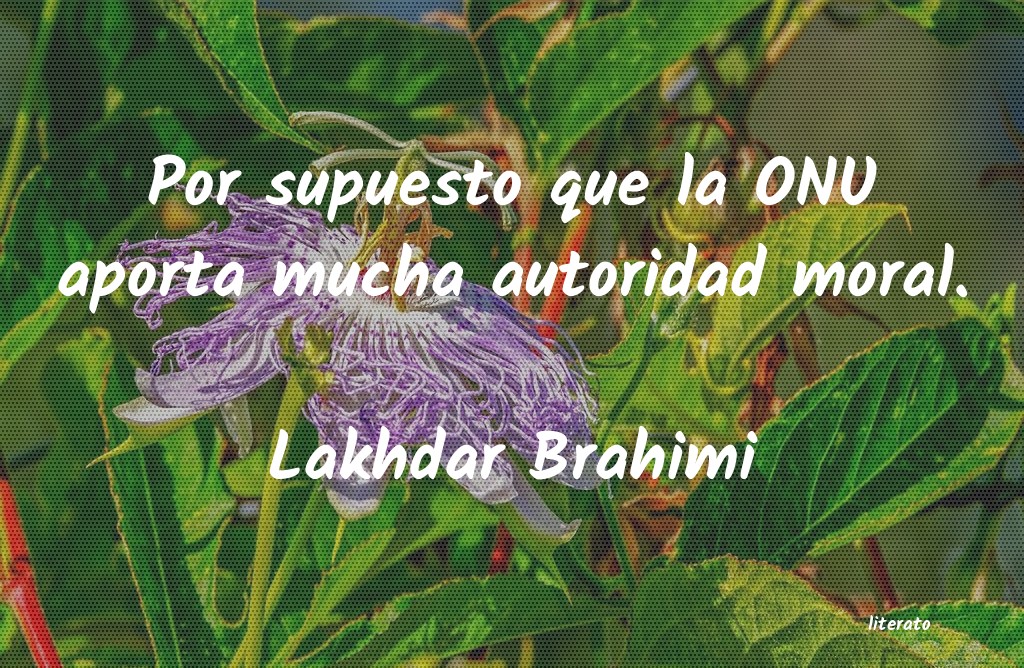 Frases de Lakhdar Brahimi