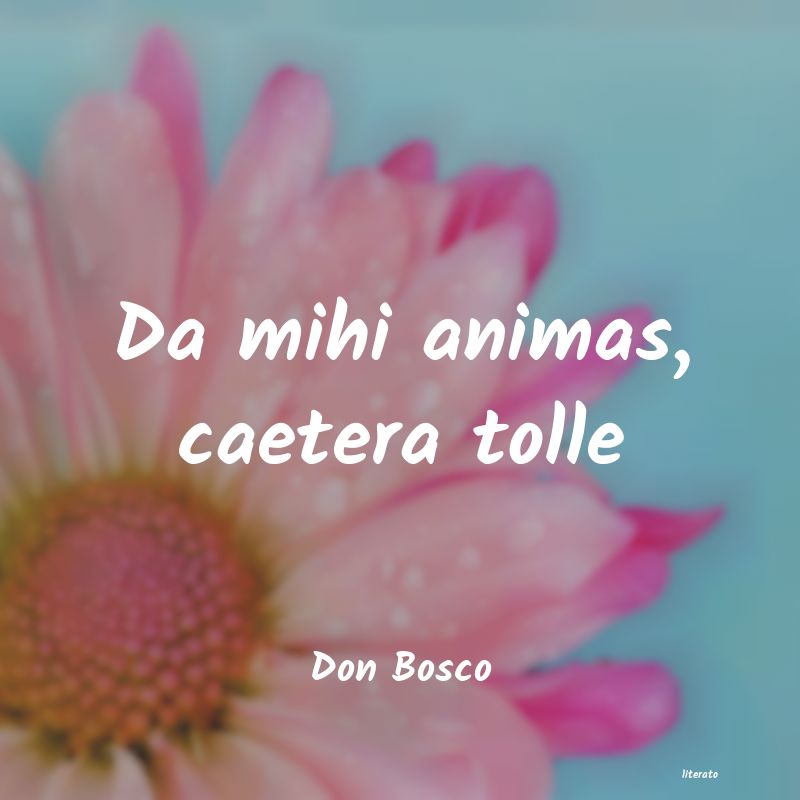 frases de Don Bosco